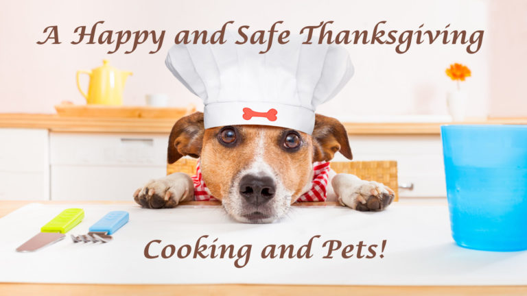 A Happy and Safe Thanksgiving Blog - 1